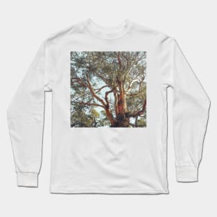 Tree Branch Long Sleeve T-Shirt